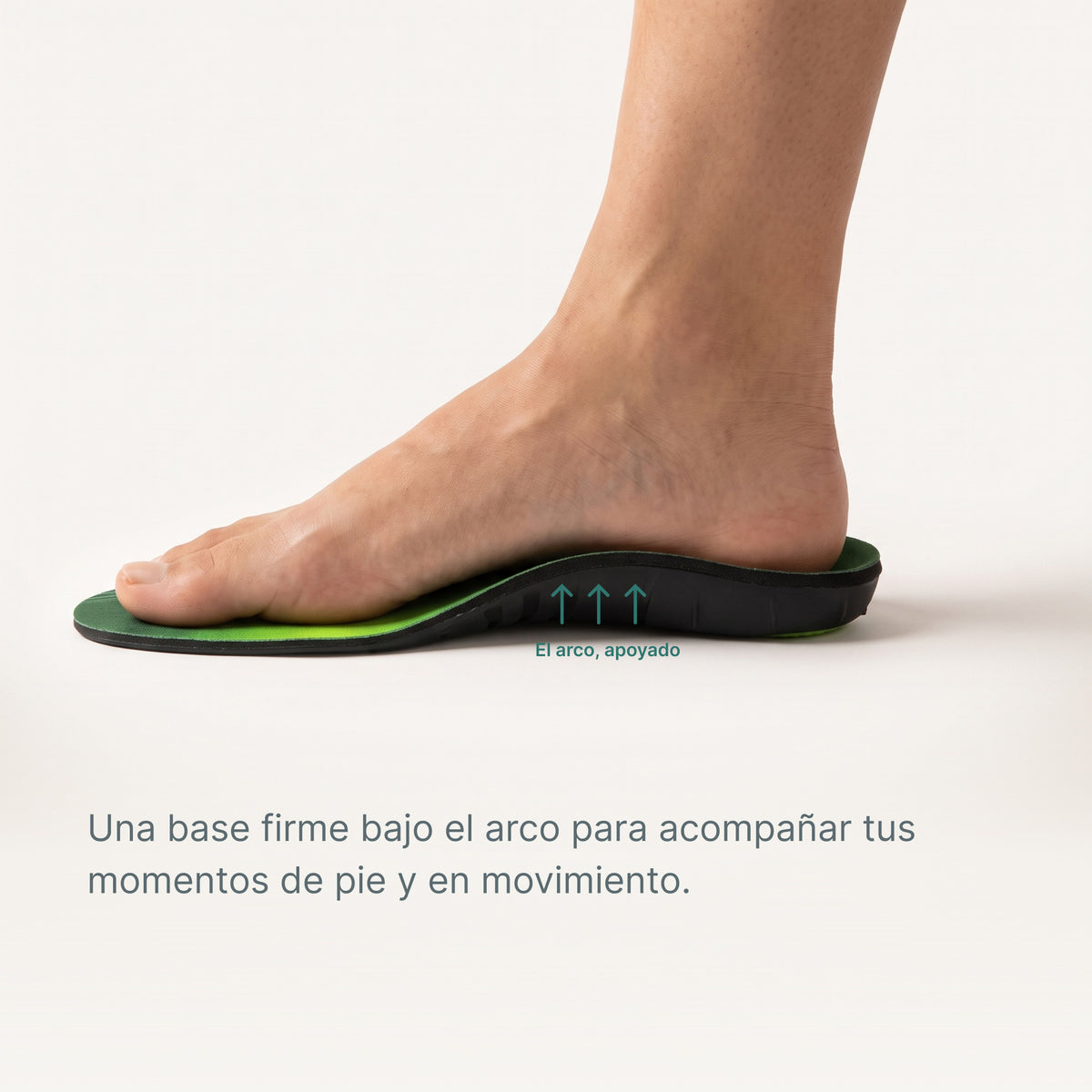 Todo empieza por un buen apoyo.